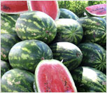 Watermelon, a source of the antioxidant lycopene recommended in a liver-healthy diet