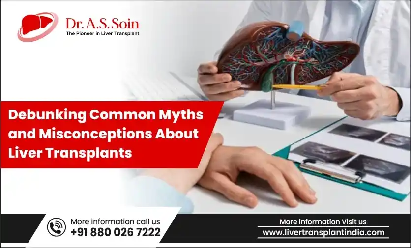 Debunking Common Myths and Misconceptions About Liver Transplants