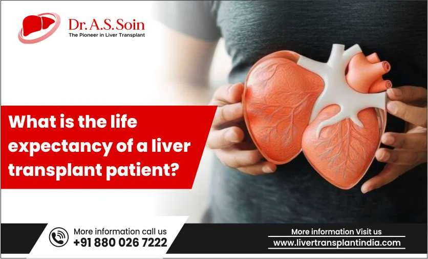Life After a Liver Transplant: What You Need to Know