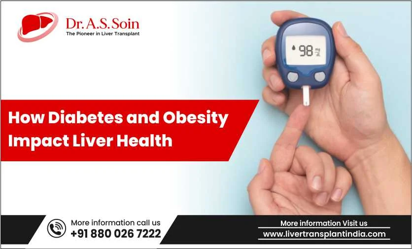 How Diabetes and Obesity Impact Liver Health: A Silent Threat