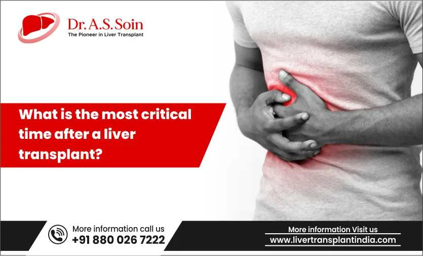 What is the Most Critical Time After a Liver Transplant?
