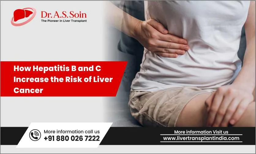 How Hepatitis B and C Increase the Risk of Liver Cancer