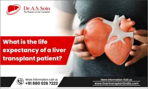 Liver Transplant