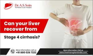 Liver Recover