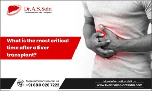 Critical Time After a Liver Transplant