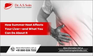 Summer Heat Affects Your Liver